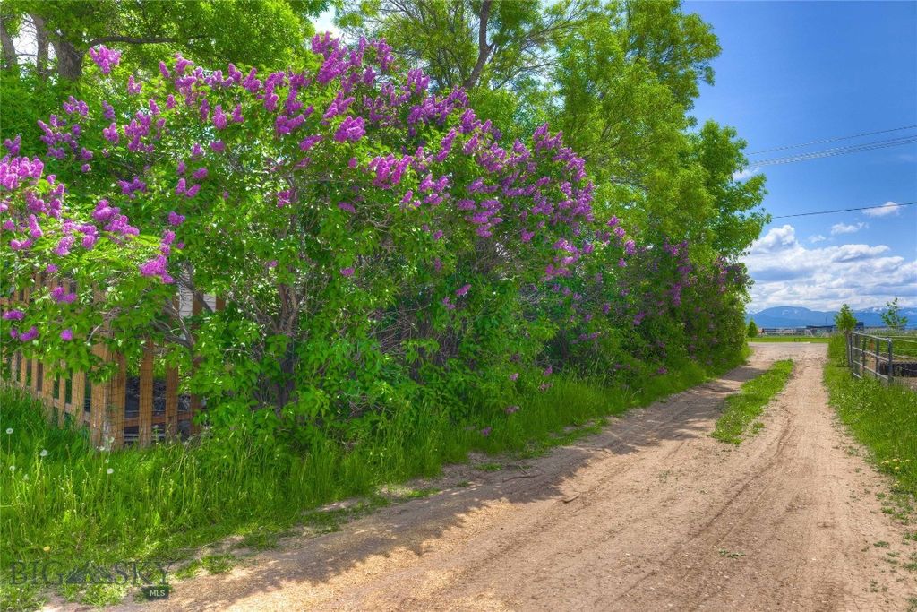 4555 Baxter, Bozeman, MT 59718 photo 8