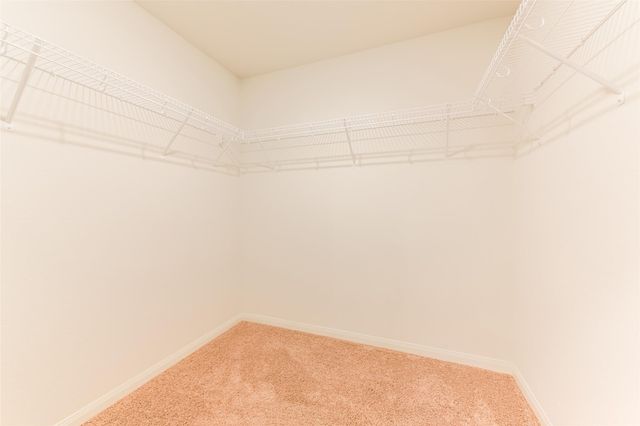 15238 Snowdrop Field Drive, Humble, TX 77396