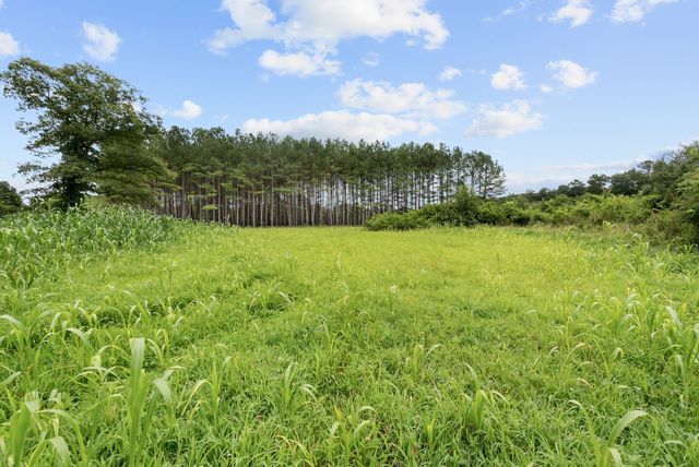 0 Coffelt Town Road, Palmer, TN 37365