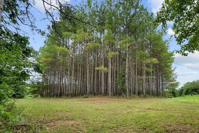 0 Coffelt Town Road, Palmer, TN 37365