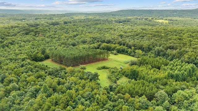 0 Coffelt Town Road, Palmer, TN 37365