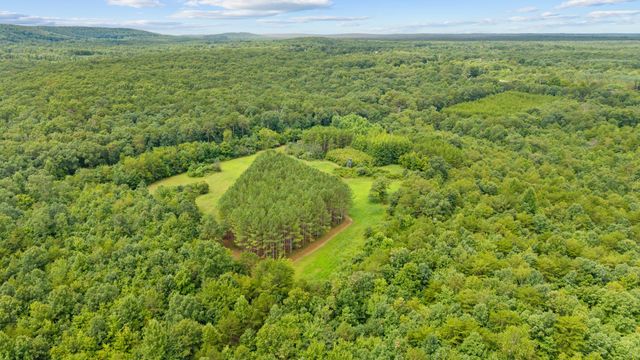 0 Coffelt Town Road, Palmer, TN 37365