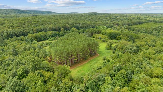 0 Coffelt Town Road, Palmer, TN 37365