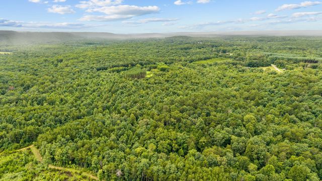0 Coffelt Town Road, Palmer, TN 37365