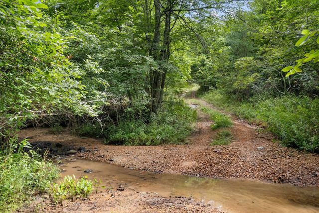 0 Coffelt Town Road, Palmer, TN 37365