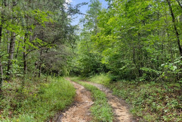 0 Coffelt Town Road, Palmer, TN 37365