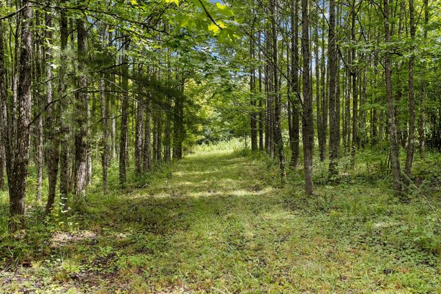 0 Coffelt Town Road, Palmer, TN 37365