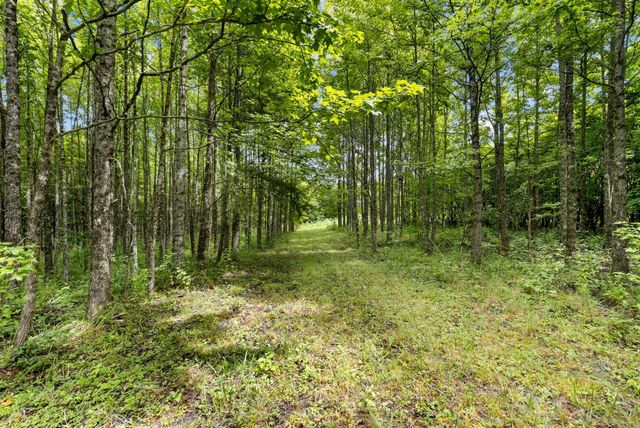 0 Coffelt Town Road, Palmer, TN 37365