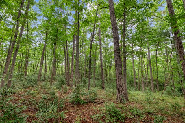 0 Coffelt Town Road, Palmer, TN 37365