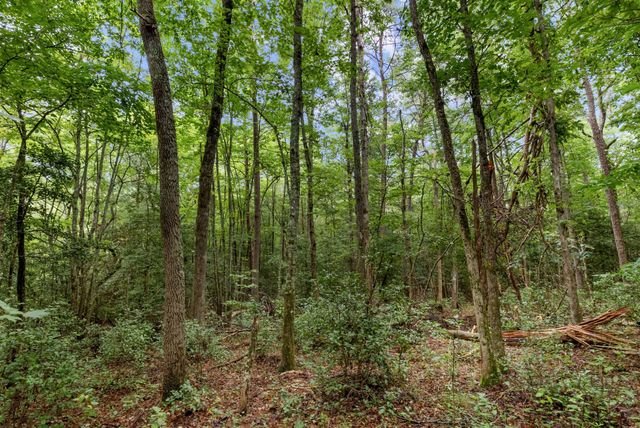 0 Coffelt Town Road, Palmer, TN 37365