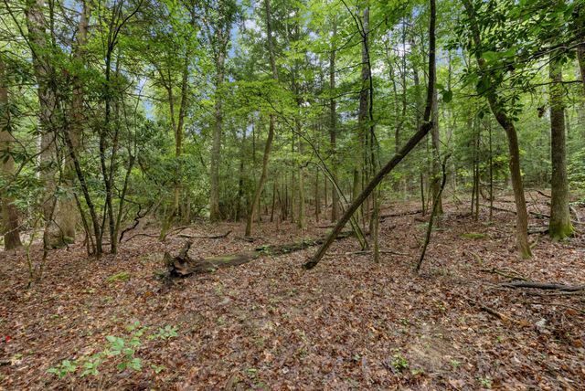 0 Coffelt Town Road, Palmer, TN 37365