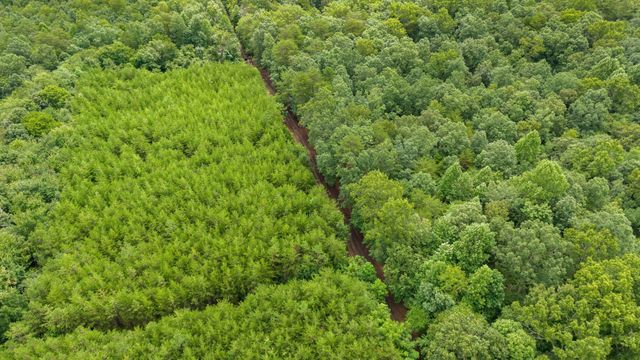 0 Coffelt Town Road, Palmer, TN 37365