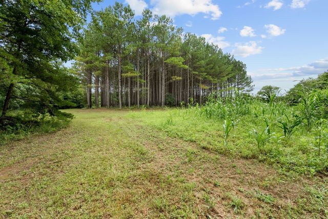 0 Coffelt Town Road, Palmer, TN 37365