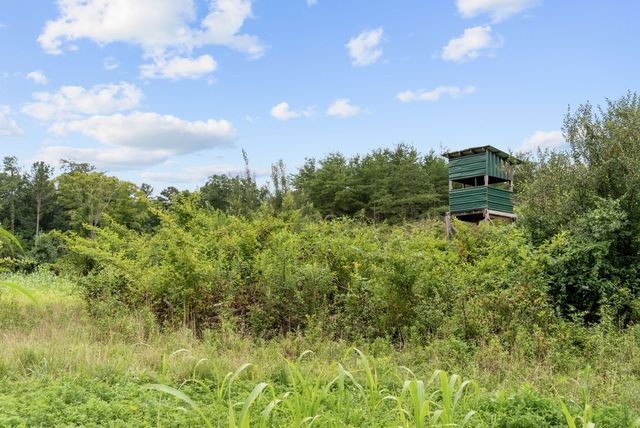 0 Coffelt Town Road, Palmer, TN 37365