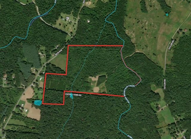 0 Coffelt Town Road, Palmer, TN 37365