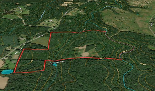 0 Coffelt Town Road, Palmer, TN 37365