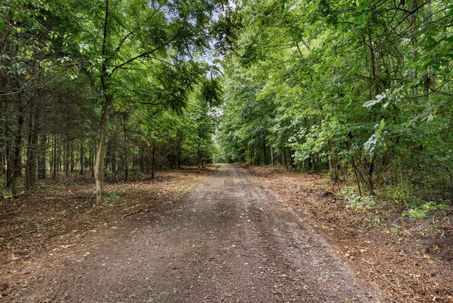0 Coffelt Town Road, Palmer, TN 37365
