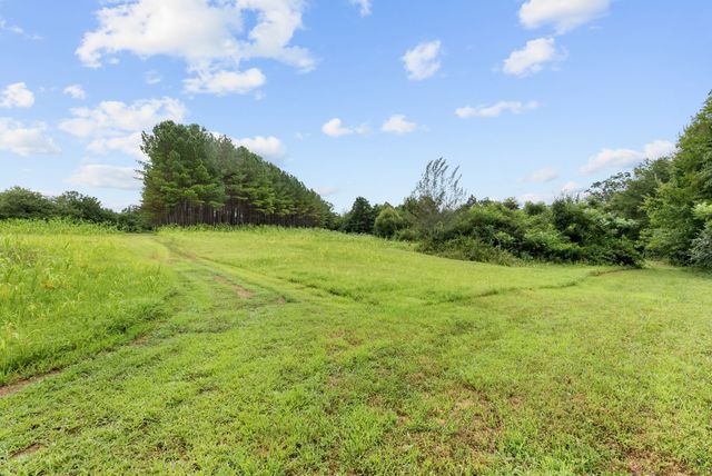 0 Coffelt Town Road, Palmer, TN 37365