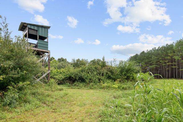 0 Coffelt Town Road, Palmer, TN 37365
