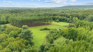 0 Coffelt Town Road, Palmer, TN 37365