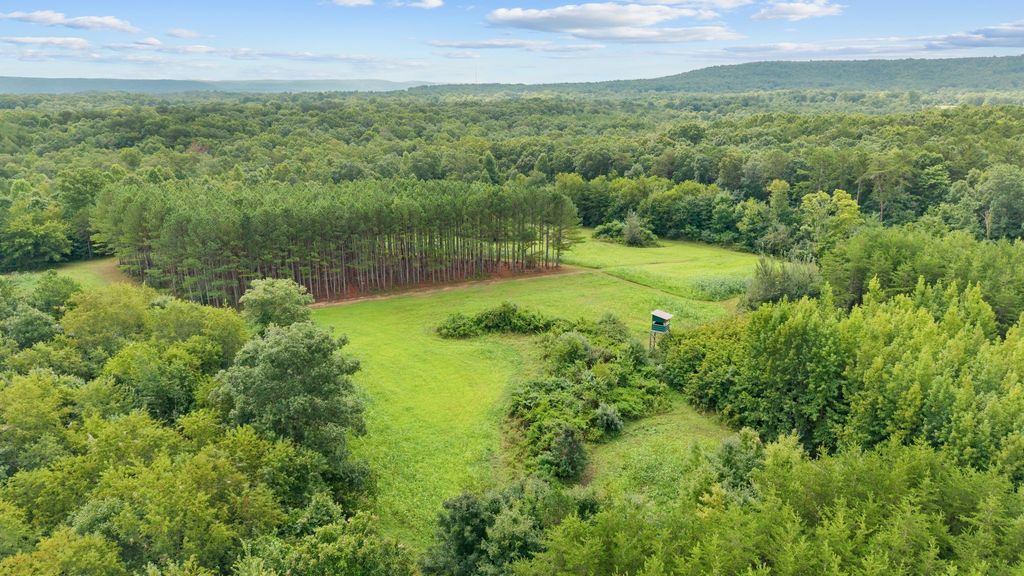 0 Coffelt Town Road, Palmer, TN 37365