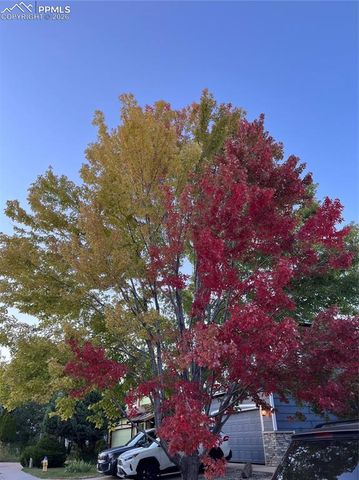 1310 Chesham Circle, Colorado Springs, CO 80907