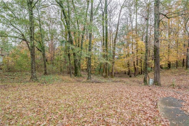 11802 MCPHERSON LANDING, Tuscaloosa, AL 35405