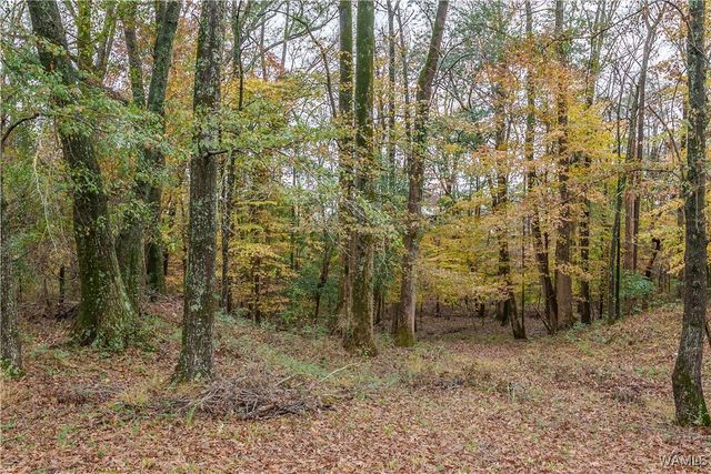 11802 MCPHERSON LANDING, Tuscaloosa, AL 35405