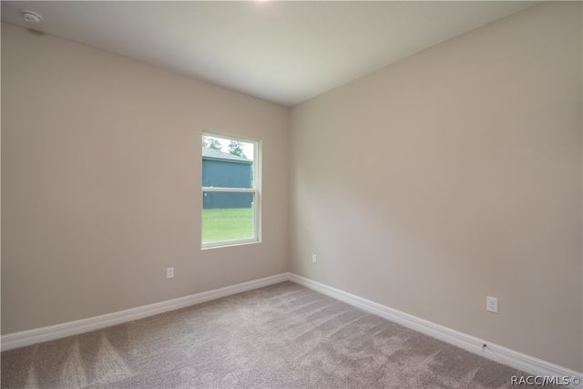 9262 N Alpinia Drive, Citrus Springs, FL 34434