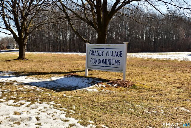 16 Seymour Road 21C, East Granby, CT 06026