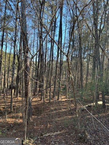 295 Handley Court, Tyrone, GA 30290