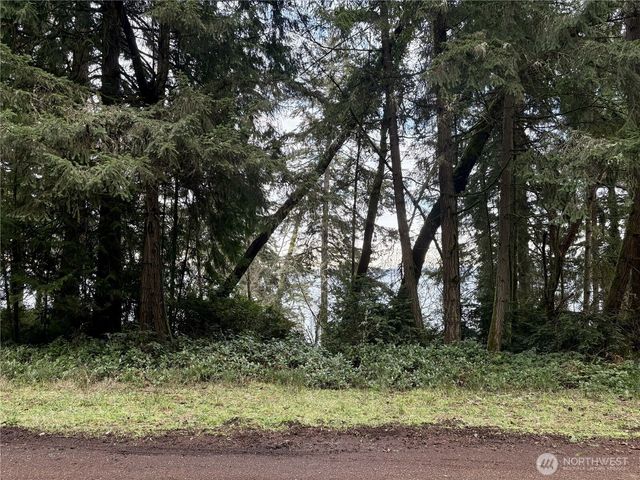 10111 Totem Way, Anderson Island, WA 98303