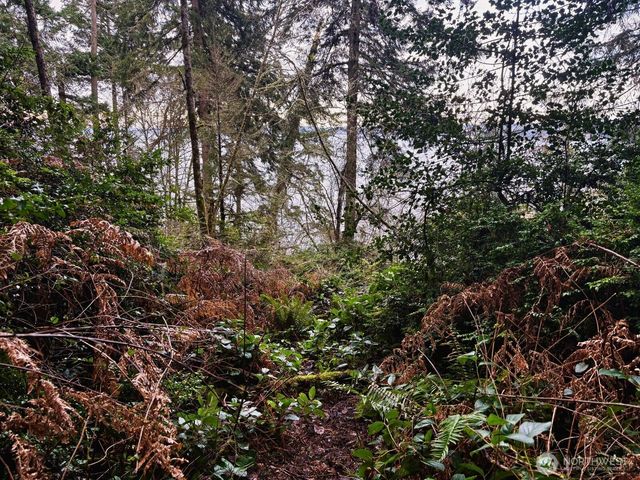 10111 Totem Way, Anderson Island, WA 98303
