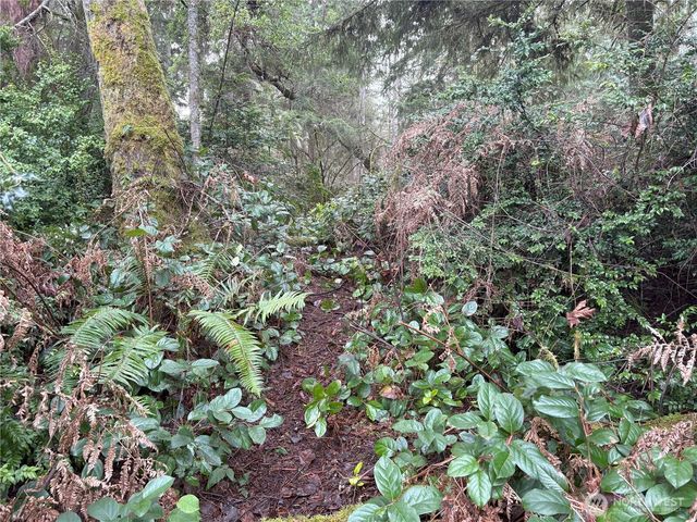 10111 Totem Way, Anderson Island, WA 98303
