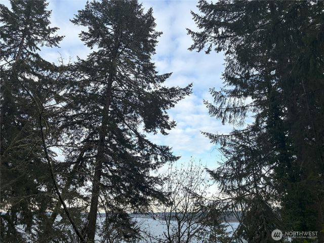 10111 Totem Way, Anderson Island, WA 98303