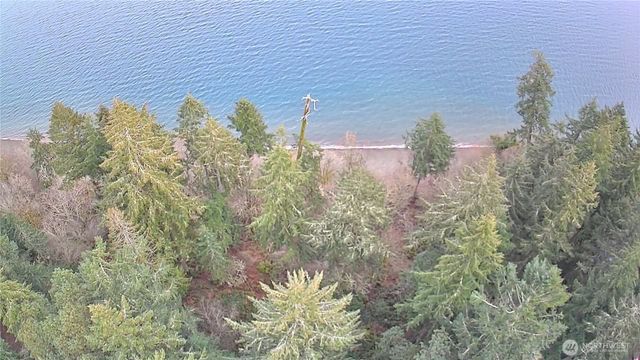 10111 Totem Way, Anderson Island, WA 98303