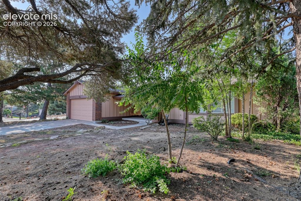 569 Red Cliff Road, Colorado Springs, CO 80906 — photo 3