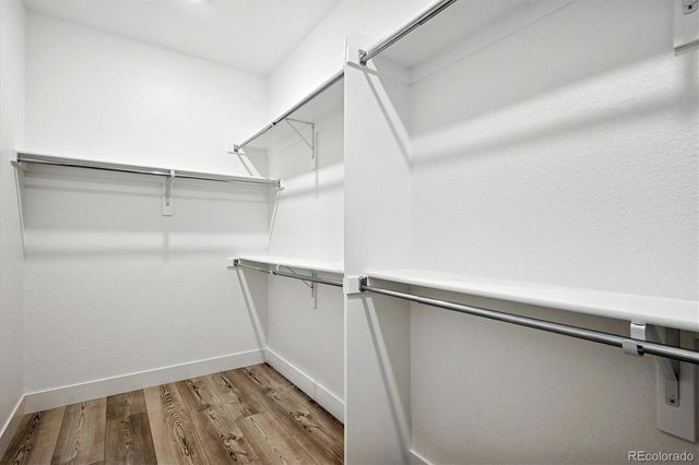 11650 Montoso Road, Lone Tree, CO 80134