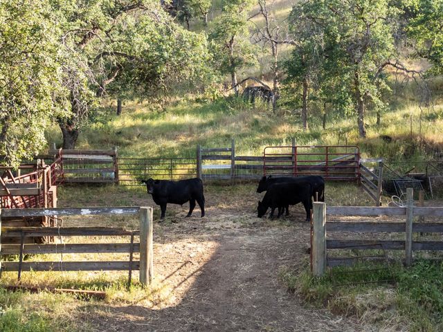 33295 Globe Dr Drive, Springville, CA 93265