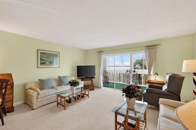 601 N MCDONALD STREET 508, Mount Dora, FL 32757