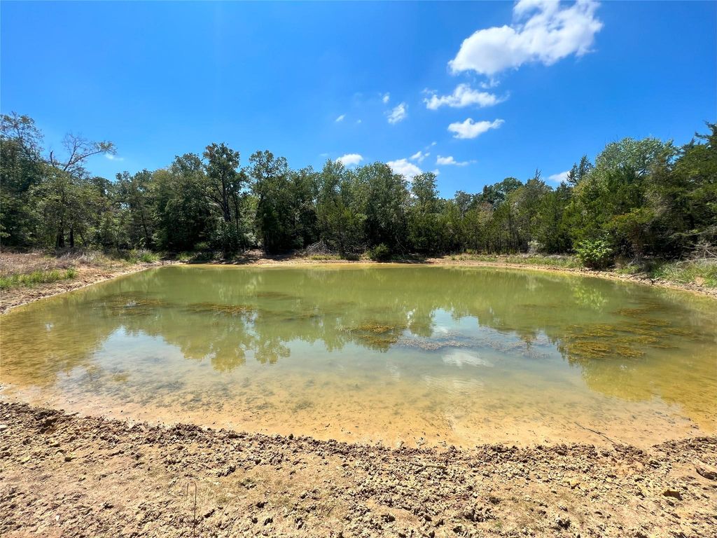 TBD Lot 21 Hwy 6 Highway, Calvert, TX 77859