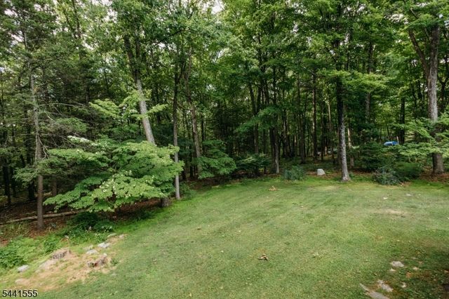 7 New Myrtle Dr, Montague Twp., NJ 07827