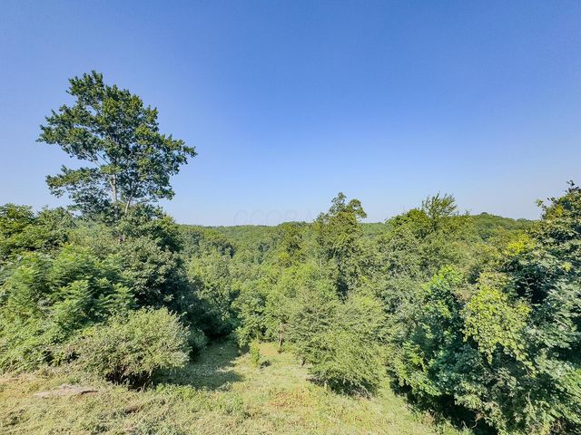 12141 Burton Hill Road, Glouster, OH 45732