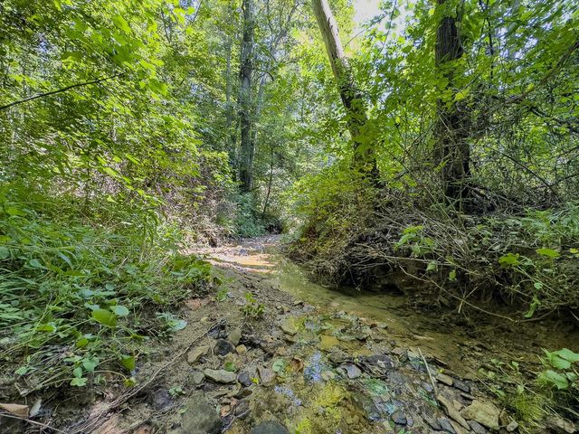 12141 Burton Hill Road, Glouster, OH 45732