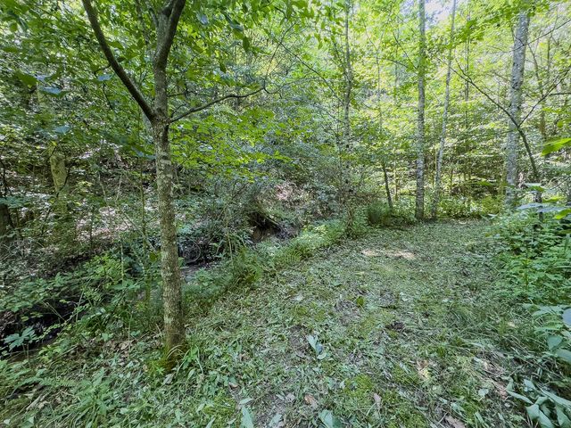 12141 Burton Hill Road, Glouster, OH 45732