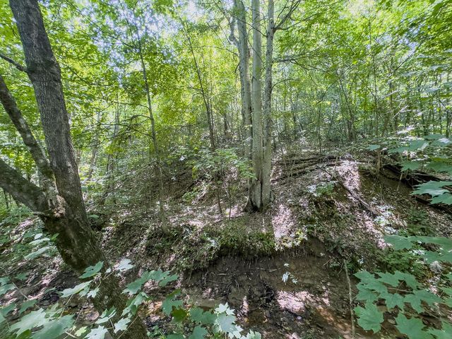 12141 Burton Hill Road, Glouster, OH 45732