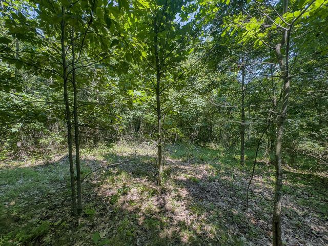 12141 Burton Hill Road, Glouster, OH 45732