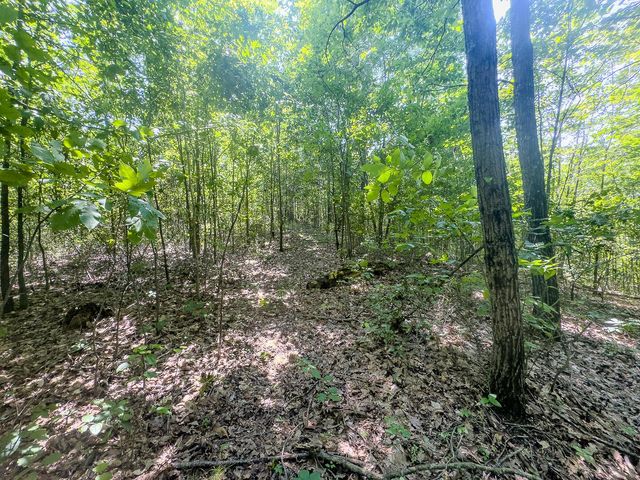 12141 Burton Hill Road, Glouster, OH 45732