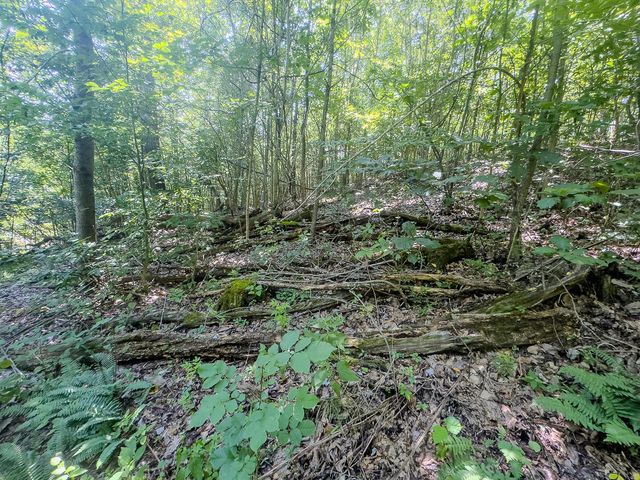 12141 Burton Hill Road, Glouster, OH 45732