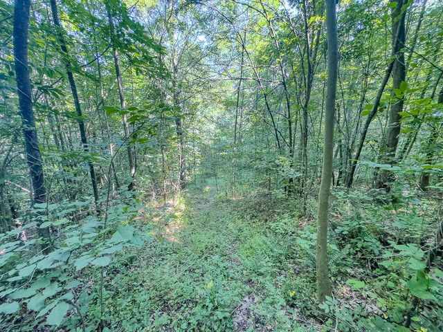 12141 Burton Hill Road, Glouster, OH 45732